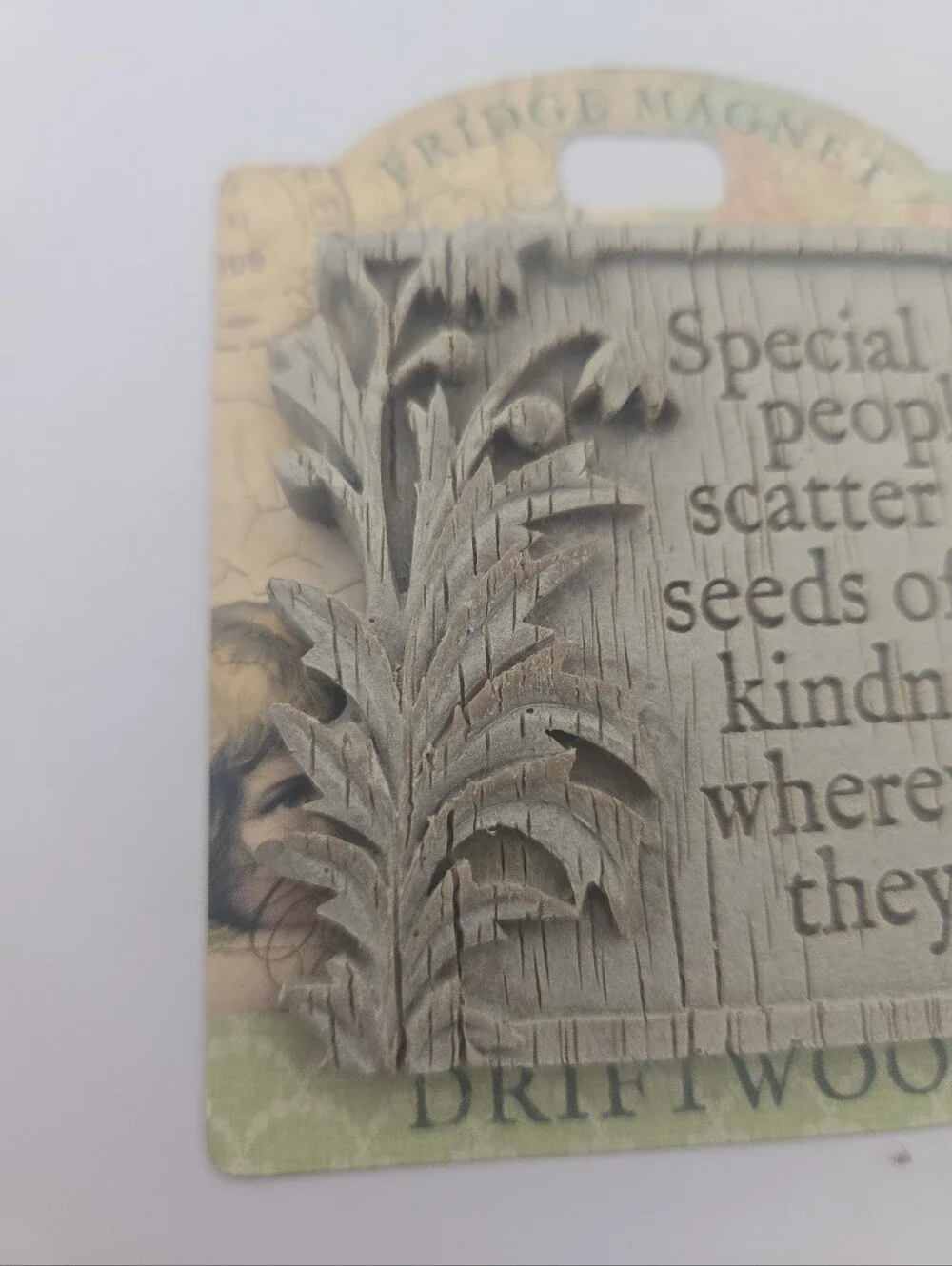 History & Heraldry Driftwood Special People Scatter Seeds of Kindness Magnet NWT